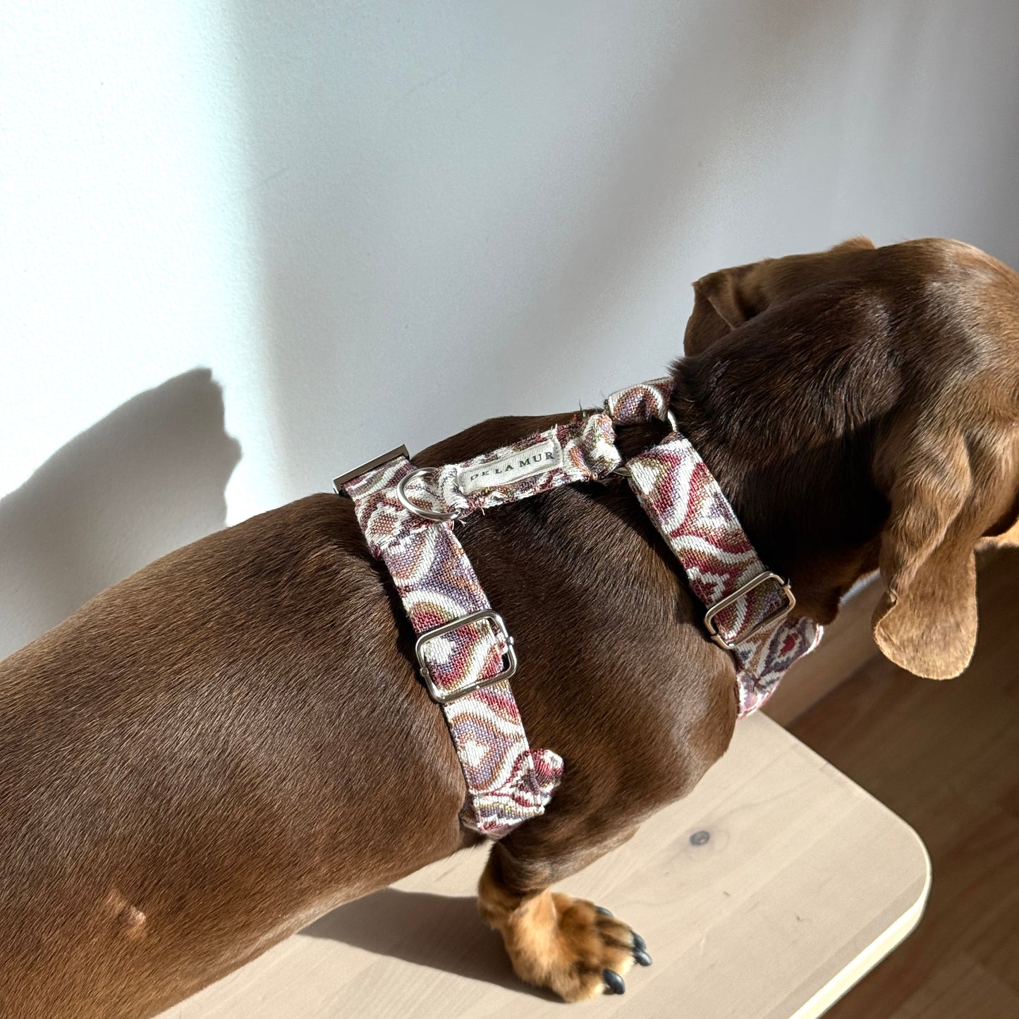 Hondenharnas en riem set ONDA